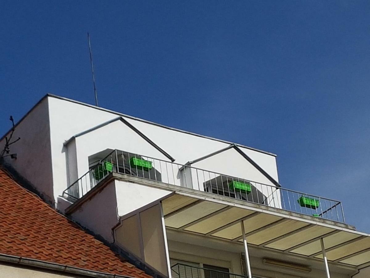 בורגאס Fit Apartment מראה חיצוני תמונה